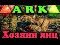 ХОЗЯИН ЯИЦ - ARK: Survival Evolved Динозавр мастер по яйкам