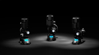 BLACKLINE EN