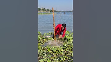 wow very interesting Fishing video #fishing #shortvideo