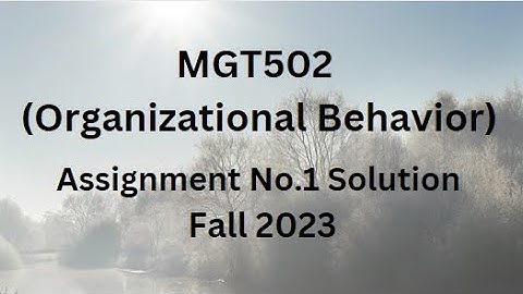 MGT502 (Organizational Behavior) Assignment No.1 Solution Fall 2023