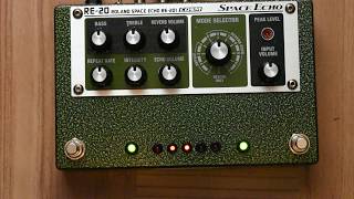 Boss Re-20 Rehouse By Loophole Pedals