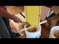 How to Harvest Honey and Beeswax Without an Extractor