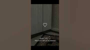 اكتب شيء تؤجر عليه / سورة العنكبوت