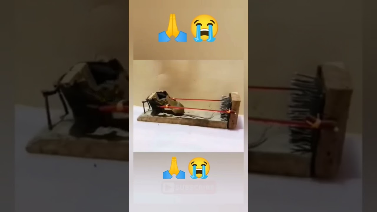 mouse Looping