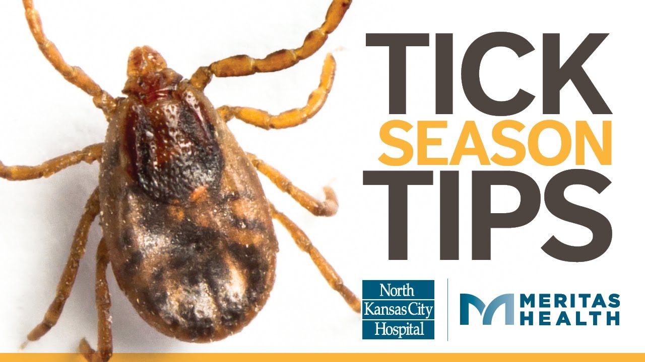 Ticks Protection for the Entire Family YouTube