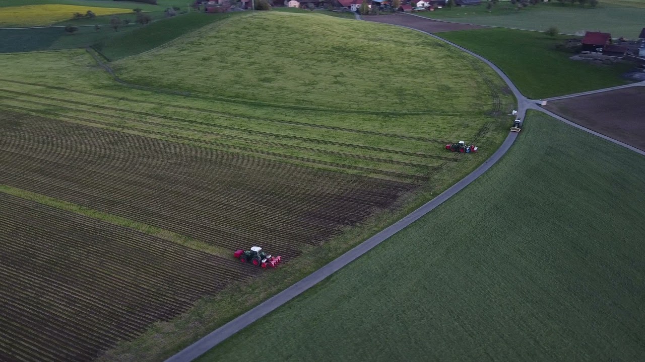 Mais Säen 11Ha Bucher-Lohnunternehmen.
