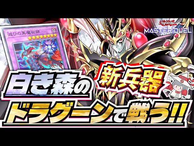 【遊戯王】　白き森　黒魔導　滅び　デッキ40枚＋エクスストラ 滅び型白き森】新兵器ドラグーンを使って目指せマスター1！VSK9以外も