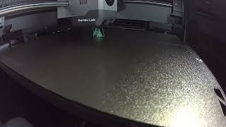 3D Printing a Rose Sepal (For the Blue Glow Rose) | Bambu Lab Timelapse