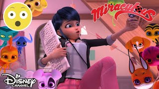 🤪 NY SÆSON AF MIRACULOUS!! Få et smugkig her! | Disney Channel Danmark