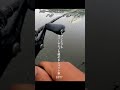 ５月の河川でスピナーベイトが楽しいワケ。