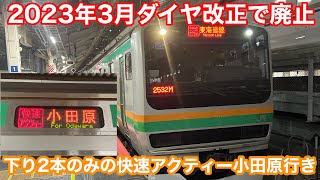 【ダイヤ改正で廃止】東海道線E233系快速アクティー小田原行き@東京〜小田原 2023.2.7