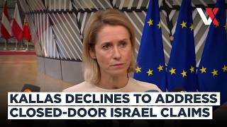"Can't Fight Shadows!" Kallas Dodges Question On Reported "Apartheid State" Remark | VERTEX
