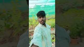 "Dekhiye (LPU) Agriculture Dept Ka Real Project Work 🌿🌻#lpucampus #university #trending #collegevlog