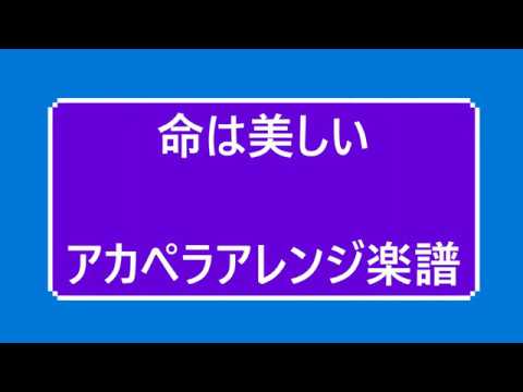 命は美しい /乃木坂４６ 【アカペラ楽譜】ピアノ音視聴