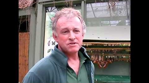 Advice to employers - David employer