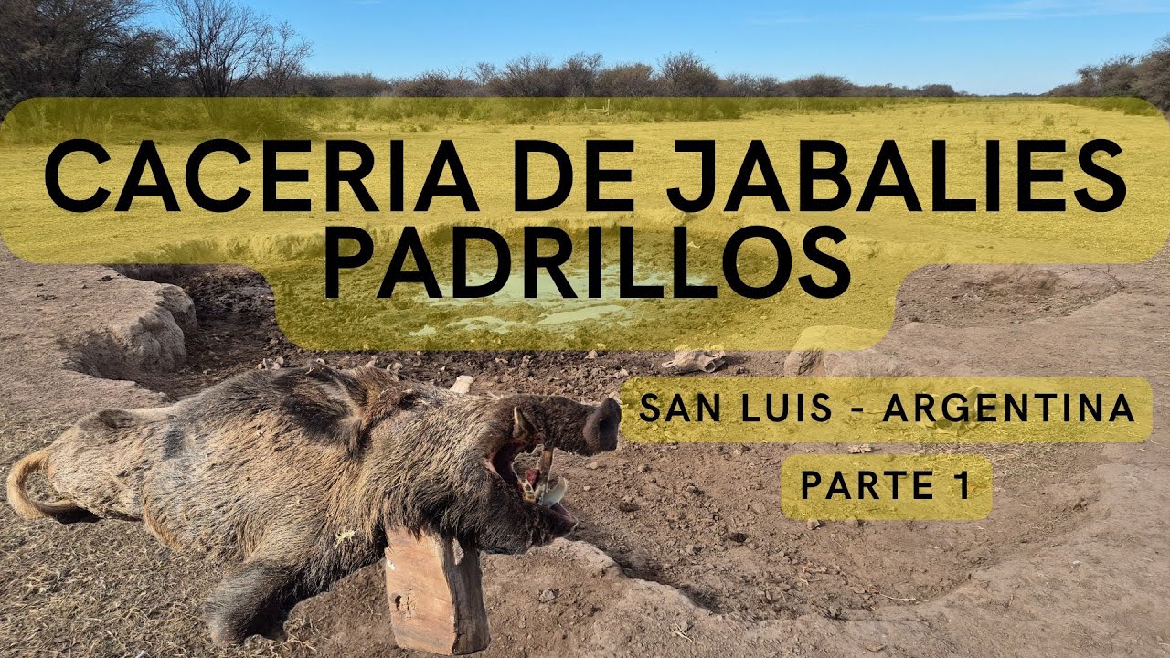 Cacería de Jabalíes Padrillos. San Luis Argentina. PARTE 1. Free Range. Big Game. Wild Boar.