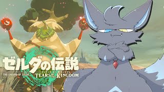 【ティアキン】超美麗グラフィックって最高だよな！