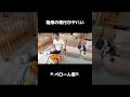 母方の祖父母がやってきたダイジェスト‼️横動画もみてね😝#ペローん家#赤ちゃん#育児vlog