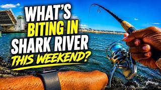 Shark River Is ALIVE! Strong Current, Bait Everywhere & Keeper Fluke!