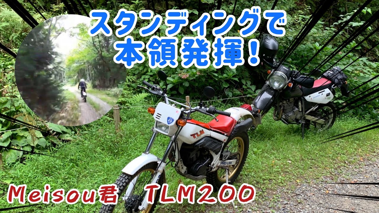 TLM220R MD23 自賠令和7年9月まで　林道 TLM220R MD23 自賠令和7年9月まで 林道 剣山スーパー林道ミーティング