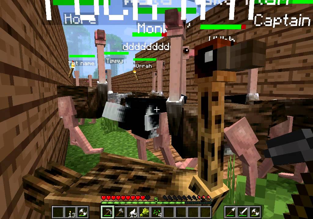 Minecraft Epic Ostrich Farm - YouTube