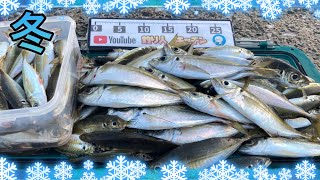 堤防で座ってアジを釣る。冬でも釣れるサビキがコレ。