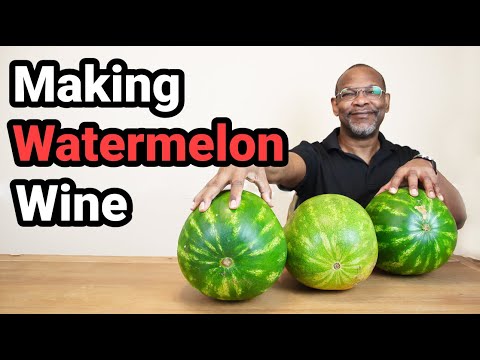 Making Watermelon Wine: 1 Gallon