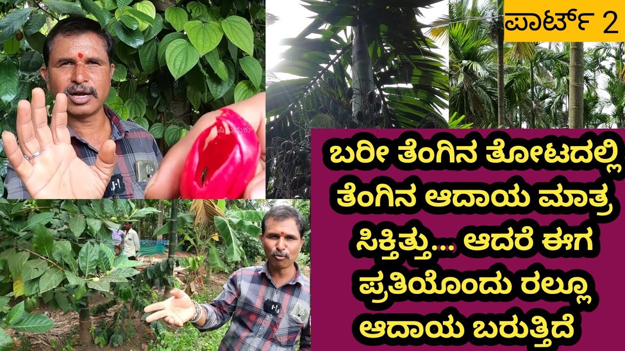 ಬರೀ ತೆಂಗಿನತೋಟ ಇತ್ತು... ಈಗ ಅದರ ಜೊತೆ ಅಡಿಕೆ ಇದೆ ಕಾಫಿ ಮೆಣಸು ಕೋಕೋ ಏಲಕ್ಕಿ ಹೀಗೆ ಇಲ್ಲಿ ಬರಲ್ಲ ಅನ್ಕೊಂಡಿದ್ ಗಿಡ