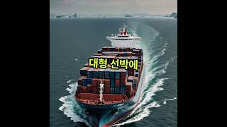한국이 세계를 지배하는 틈새 시장 제품 TOP 5 #랭킹 #지식 #올바른정보