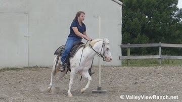 Olaf - running the barrels and poles! - ValleyViewRanch.net
