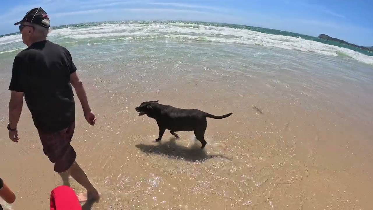 Walking at Tuncurry Beach