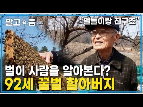 &amp;quot;그전엔 교장선생님이었어요&amp;quot; 이제는 양봉장에서 벌들을 가르치는 선생님, 92세 늙지 않는 방법은? │장수의 비밀│알고 e 즘