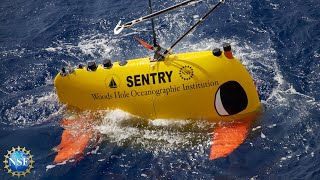 Autonomous Underwater SENTRY