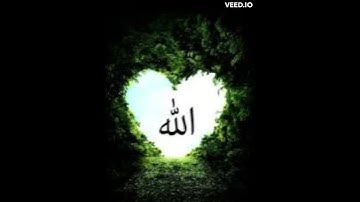 من هدي القرآن الكريم