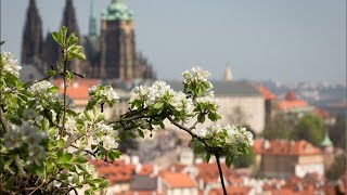 Весенний денек в Праге (прогулка)