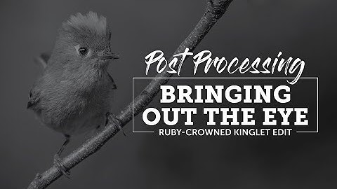 Post Processing: Bringing out the eye