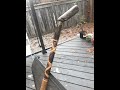 Carving a walking stick