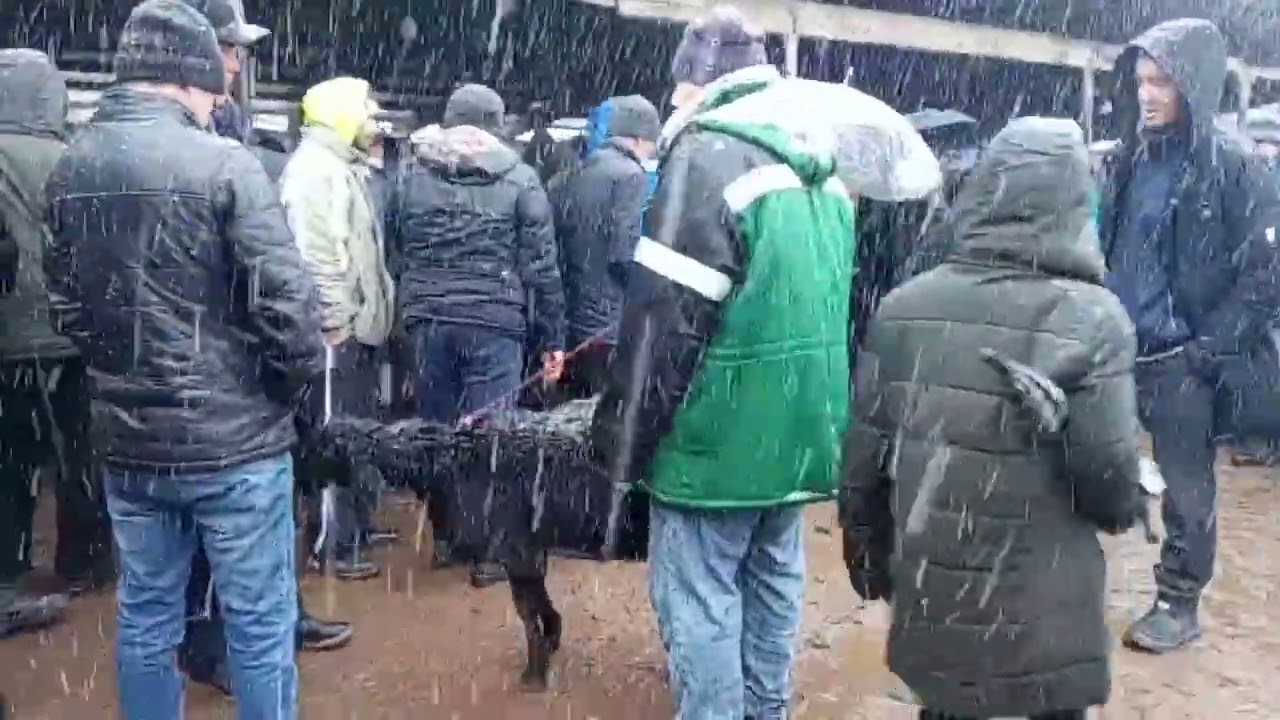 Молбозори Чузи 06/02/2026 Давомаш 2