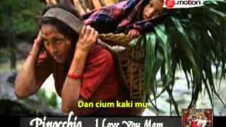 Video thumbnail of "Pinocchio - I love you mom.flv"