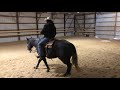 Teaching Your Horse a "Relax" Button