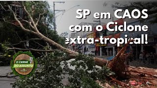 Ciclone no Brasil: Ventos de 100km/h e Árvores Caindo em São Paulo! 😱🌪️ | CORTE O Cerne do Assunto