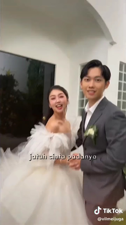 Pangeran Willy Datang Menyambut Cinderella Vilmei #williesalim #vilmei @williesalim @vilmei