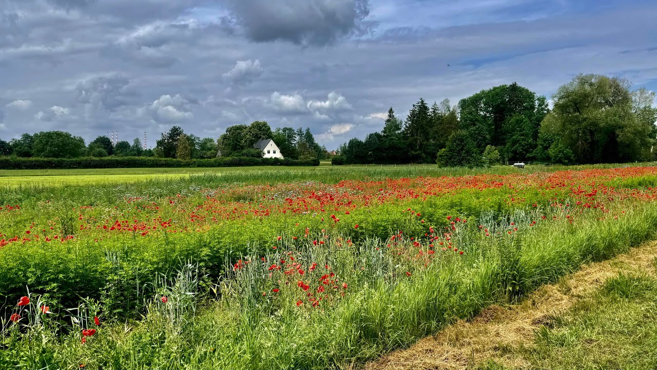 Tour nach Vohburg, Ingolstadt und Manching