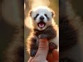 My Panda is Ugly 😢🐼 What Do You Think? #pandalover #cuteanimalstiktok