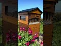 Flow HQ hive check