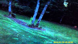 lidcam 013.AVI