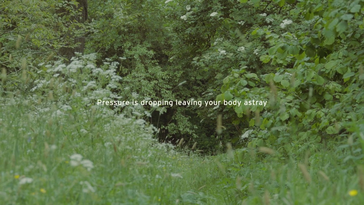 Mutual Ignorance  - How Far (Lyric Video)