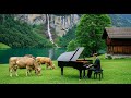 Soothing Melodies for Heart and Mind 🌿 Restoring Peace and Joy #50