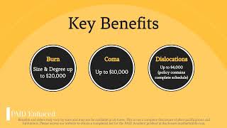 ManhattanLife | Personal Accident Insurance | Explained