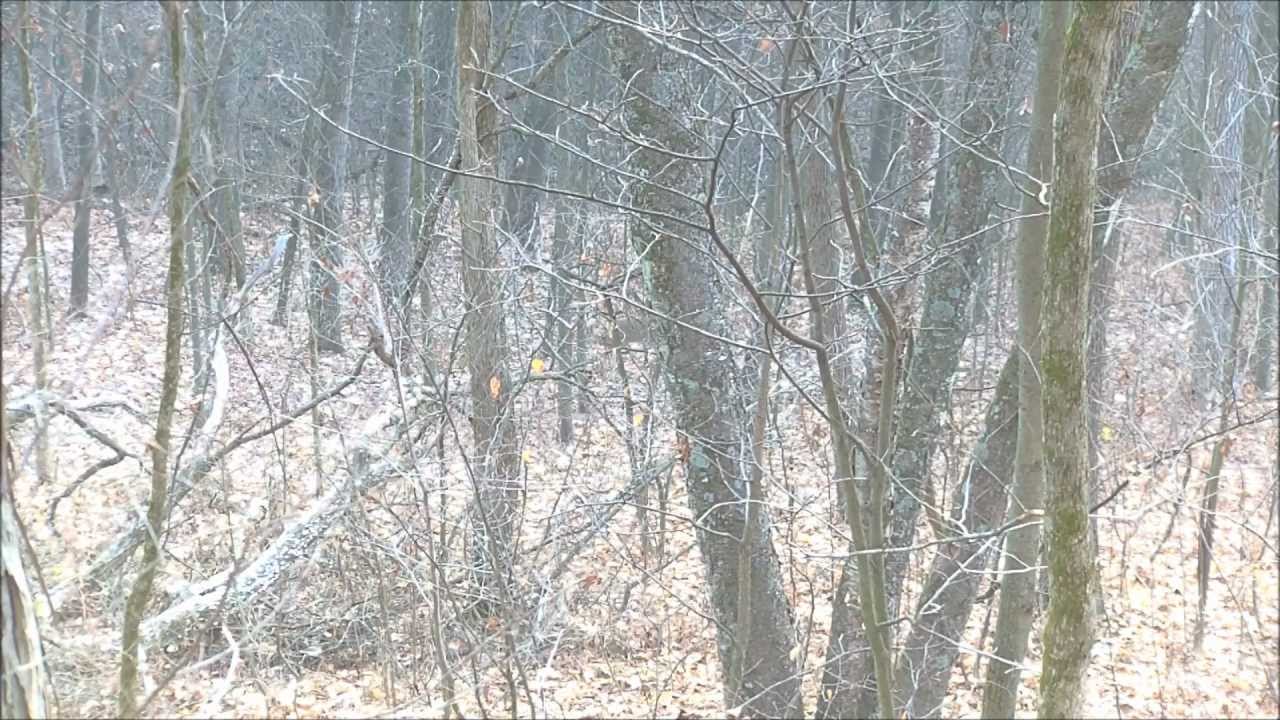 Wisconsin Deer Hunting 2012 Buck Kill Buffalo County YouTube